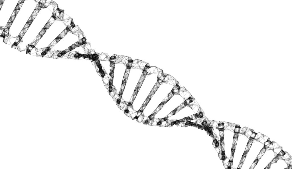 ADN