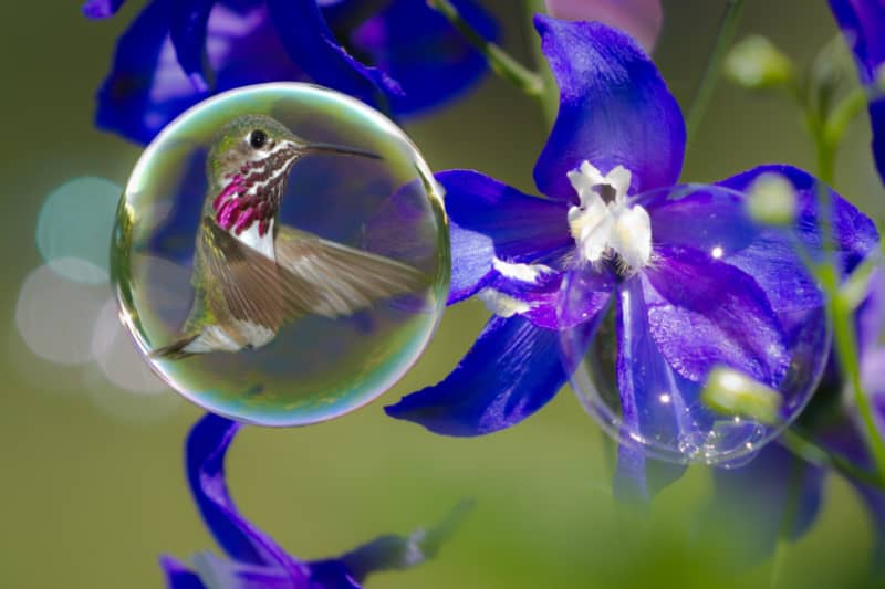 Nuestra filosofía Calidad, seguridad y confort